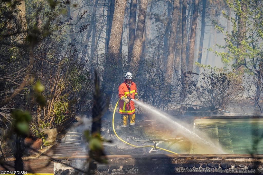 Piolenc-feu de foret-01-07-2022-14