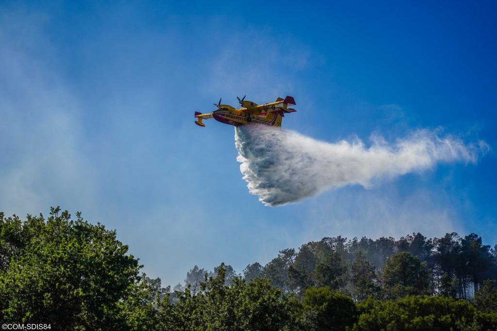 Piolenc-feu de foret-01-07-2022-37