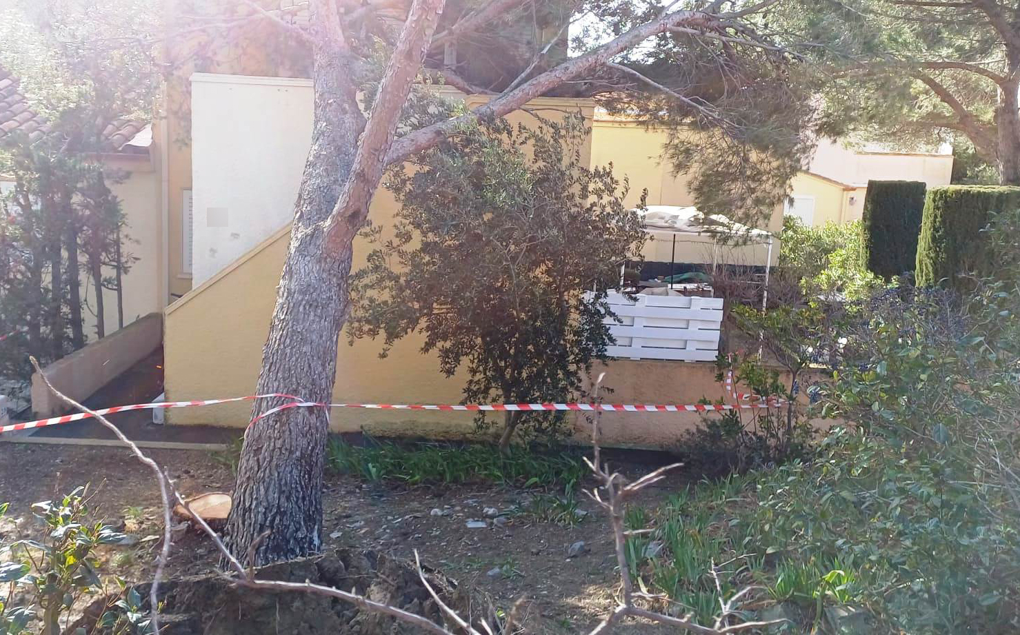 WhatsApp Image 2026-02-12 at 13.23.33(3) copie