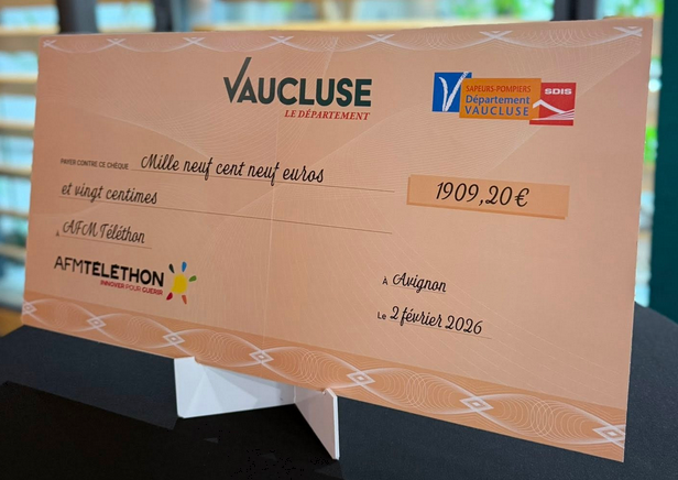 cheque Telethon 2026